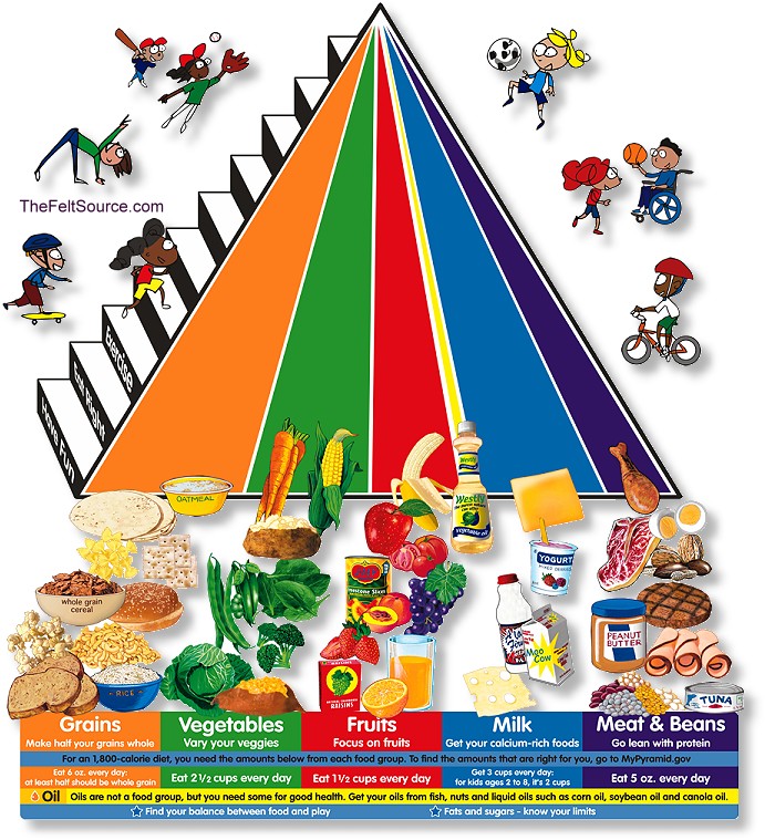 5 food groups for kids. five main food groups and